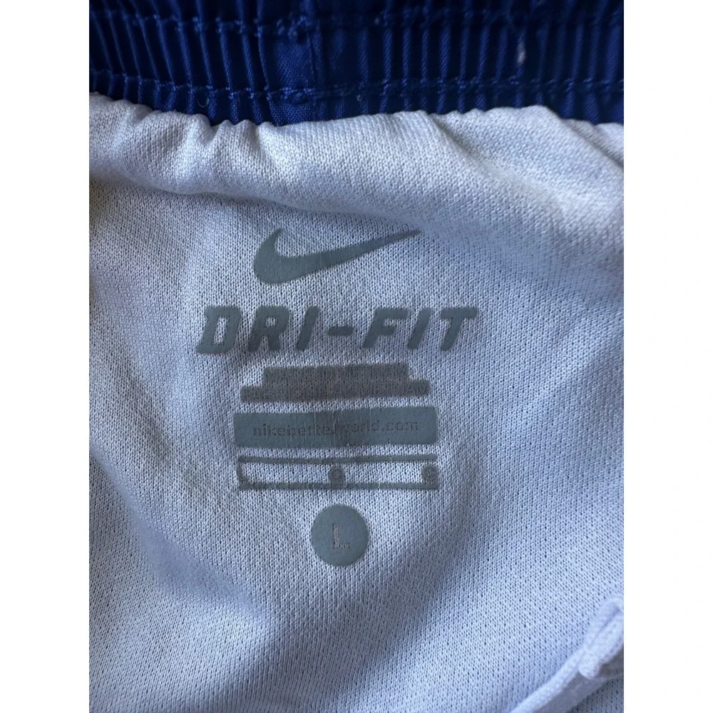 Nike Dri-FIT Kids Blue Pink Mesh Running Shorts Girls Large L Athletic Gym